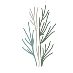 Stylized marine plant vector perfect for coastal graphics.