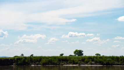 Beautiful sub-tropical Brahmaputra river bank with tall grass canopy and cloudscape in the background 4