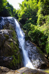 Fototapeta premium Waterfall in deep tropical rainforest with green rainy tree nature landscape