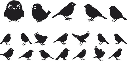 Black silhouette illustrations of various small birds in different poses, sitting, flying, and standing, isolated on white background, cute bird collection