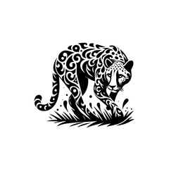 A patterned leopard prowling in grass isolated on white background