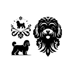 A black poodle illustration isolated on white background