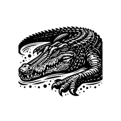 A dangerous crocodile is isolated on white background