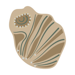 Vector illustration of a single colored sea shell on white background. Elegant drawing for coastal graphic compositions.