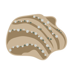 Vector illustration of a single colored sea shell on white background. Elegant drawing for coastal graphic compositions.