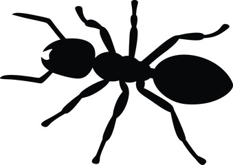 Ant icon, Ant clipart, Ant silhouette vector illustration