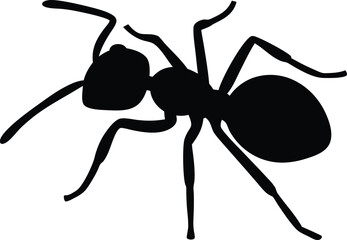 Ant icon, Ant clipart, Ant silhouette vector illustration