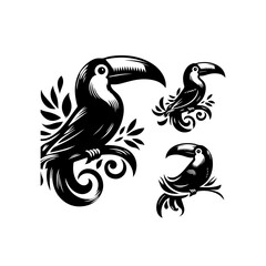 Obraz premium Three toucans perched on branches isolated on white background