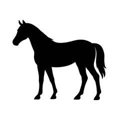 A horse silhouette vector style 
