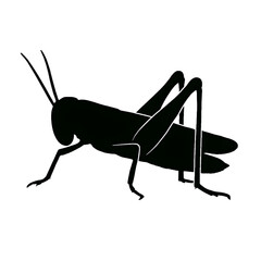 A grasshopper silhouette vector style 