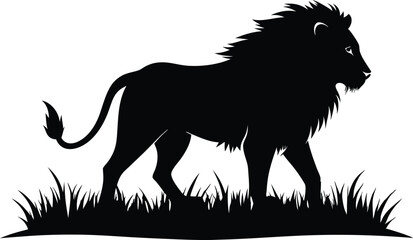 Lion walking in grass silhouette, A lion walking through grass  icon silhouette vector isolated on white background