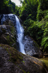 Waterfall in deep tropical rainforest with green rainy tree nature landscape
