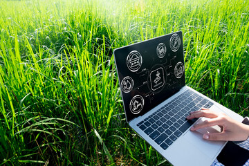 Smart farming and agriculture technology concept. A farmer uses a laptop in a rice field to manage the crop and increase productivity. Agri-tech and modern agricultural innovation.