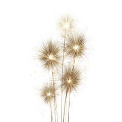 Obraz premium A cluster of delicate dandelion seed heads with fluffy parachutes isolated on transparent background
