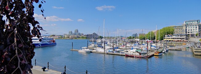 Victoria, BC, Canada. July 27, 2025: Panoramic view of Victoria Inner Harbour on Vancouver Island with boats moored, clear skies, and vibrant waterfront activities on a sunny day.