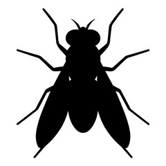 A fly silhouette vector style 