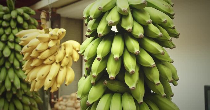 Bunches of ripe green and yellow bananas at Lavradores Market in Madeira