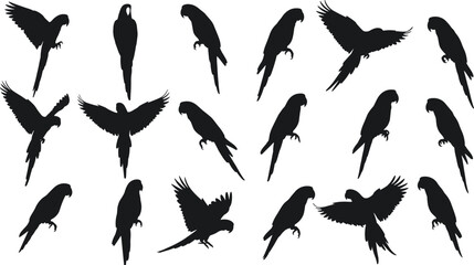 Parrot silhouettes set, tropical bird poses in flight and perched, exotic macaw vector illustrations for wildlife and nature design