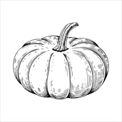 A detailed illustration of a pumpkin with a curved stem. The pumpkin has a round shape and distinct ridges, showcasing its texture and natural features.