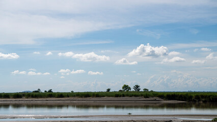 Beautiful sub-tropical Brahmaputra river bank with tall grass canopy and cloudscape in the background wide frame 5