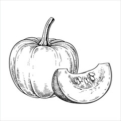 A hand-drawn illustration of a pumpkin and a slice of pumpkin. The pumpkin is round with a stem, and the slice shows seeds and texture.