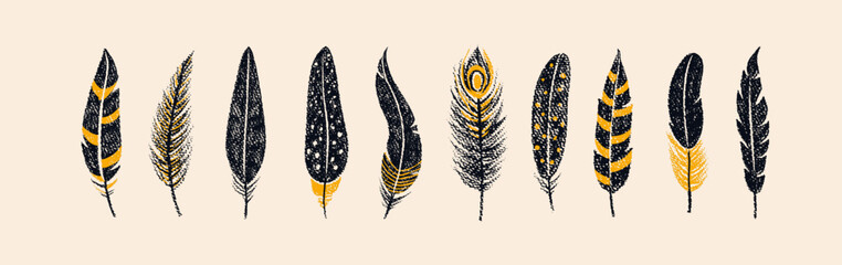 Bird feathers drawn with color crayon pencils. Pastel sketch of black peacock, chicken, bird plumes. Set of boho feathers, quills with pattern and crayon or chalk texture, vector illustration