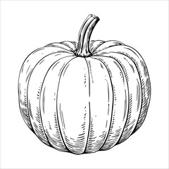 A detailed illustration of a pumpkin with a thick stem and ribbed surface. The pumpkin is round and has a smooth texture, suitable for autumn themes.