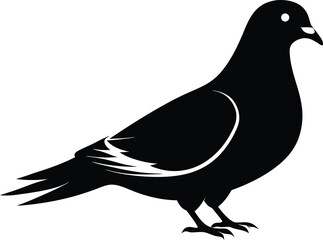Pigeon silhouette, A pigeon full black silhouette vector illustration