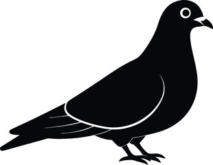 Pigeon silhouette, A pigeon full black silhouette vector illustration