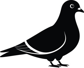 Pigeon silhouette, A pigeon full black silhouette vector illustration