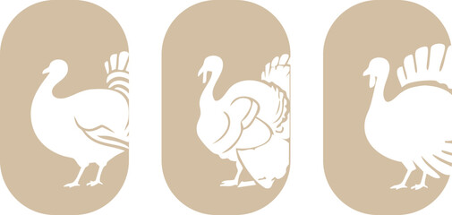 Farm animals vector illustration	
