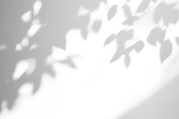 shadow overlay effects of realistic abstract natural tree leaves shadow on wall background,Summer sunlight and shadow overlay effect,shadow for photo interior backdrop studio mockup