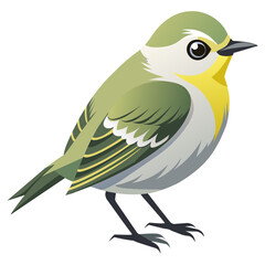 Tropical White-eyed Vireo Vector Illustration for Posters