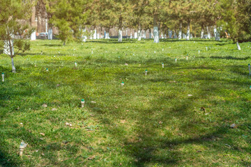 Turned off sprinklers of the irrigation system on the lawn.