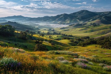 Naklejka premium Rolling Hills and Wildflower Meadow.