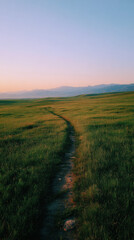 Obraz premium Exploring tranquil nature paths at sunset lush green fields landscape photography serene environment wide angle view