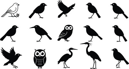 Bird silhouette vector set, flying and standing birds, owl and heron icons, black wildlife clipart for nature, design, and decor