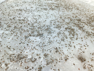 Small stone gravel scattered on the sidewalk covered with ice. Pedestrian safety in winter