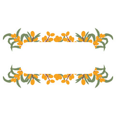 Elegant Sea Buckthorn Label Frame with Orange Berries and Green Leaves in a Hand-Drawn Botanical Design