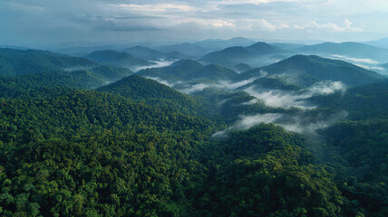 Breathtaking aerial view of lush mountains tropical rainforest landscape photography serene environment nature concept