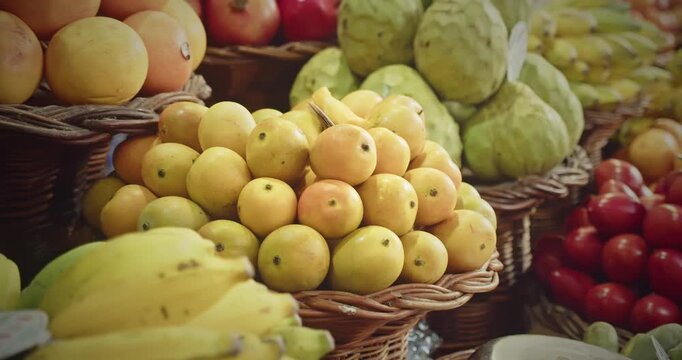 Basket of ripe yellow loquats on display at Lavradores Market, Madeira, among tropical fresh fruits