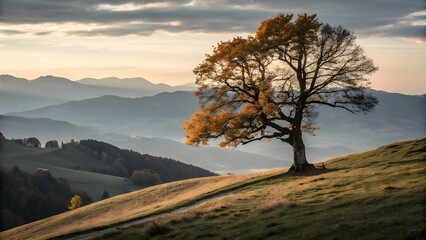 Solitary autumn tree on a misty mountain slope at sunrise