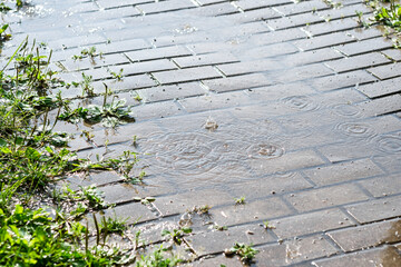 Heavy summer rain pours down on the cobblestone sidewalk