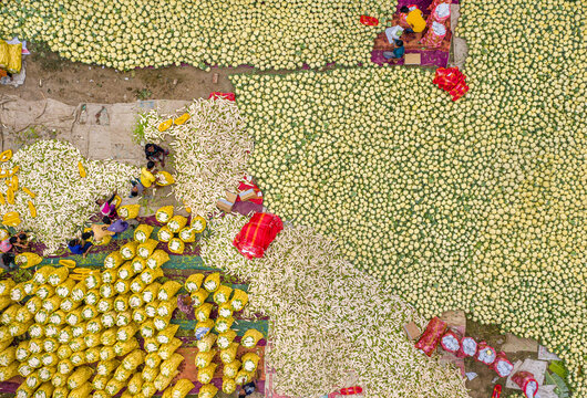 Bogura, Bangladesh - 27 November 2019: Aerial view of a vibrant market scene unfolds, where golden and cream produce creates a textured mosaic, punctuated by splashes of crimson and ochre.