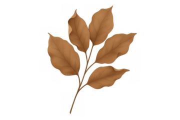 Realistic illustration of a branch with five dry autumn leaves, isolated on a transparent background