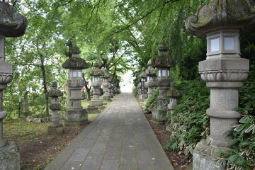 Stone Lanterns Along a Traditional Japanese Shrine Path