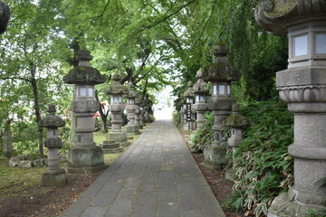 Fototapeta premium Stone Lanterns Along a Traditional Japanese Shrine Path