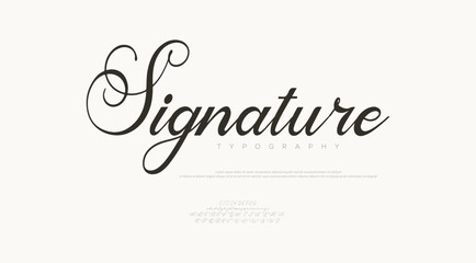 Hand drawn vector alphabet. Modern monoline signature script font. Elegant Signature Font. Best Alphabet Beautiful Calligraphy Signature Font
