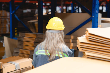 Rear view of female warehouse worker wearing safety gear inspecting cardboard sheets and boxes in organized storage area, symbolizing logistics readiness and material control.