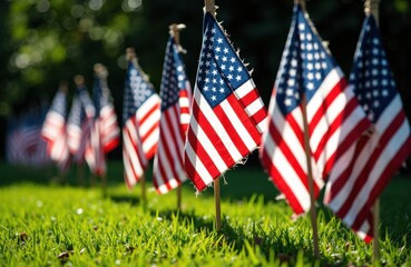 Colorful American flags planted in lush green grass on a sunny day